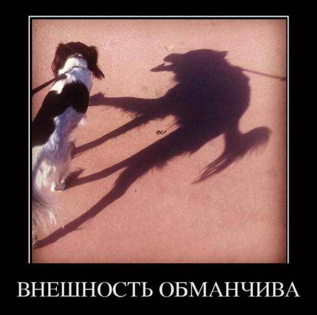 Демотиваторы " 101 %" 15/04/12