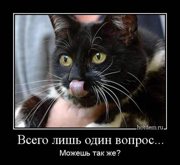 Демотиваторы демотиваторы, прикол, смех, юмор