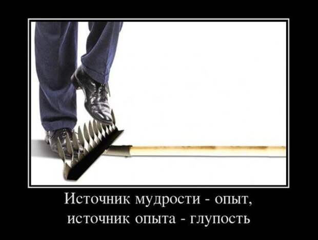 Демотиваторы (30 фото)