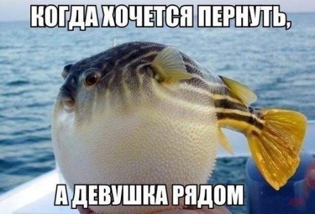 Классные и смешные картинки (31 шт)