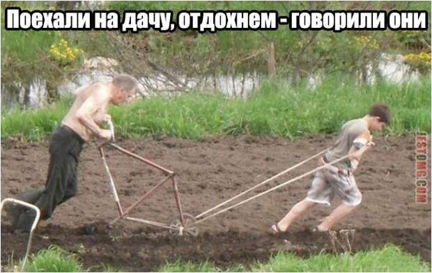 Приезжай к нам на дачу! Будет весело! весело, дача, факты, юмор