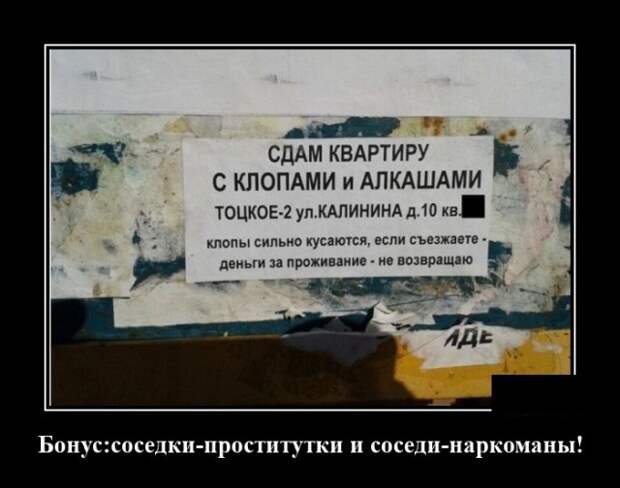Демотиватор про соседей