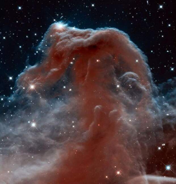 Туманность Конская Голова, или Барнард 33 космос, красота, телескоп, хаббл, юбилей