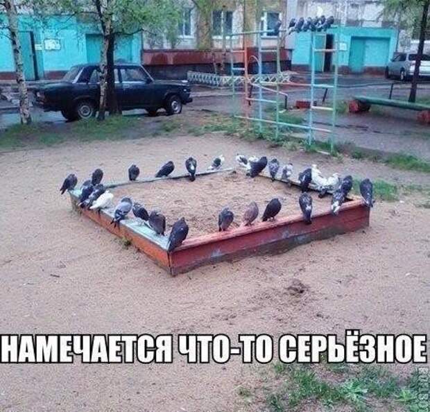 Прикольные фотомемы для прикола