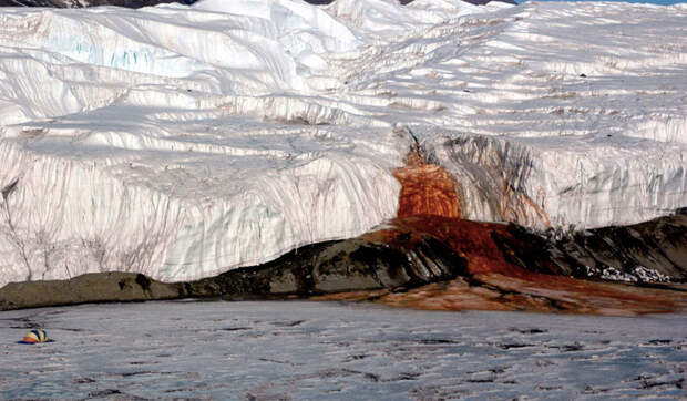 18. В Антарктиде есть водопад с красной, как кровь, водой, что объясняется наличием железа, которое окисляется при контакте с воздухом. антарктида, факты