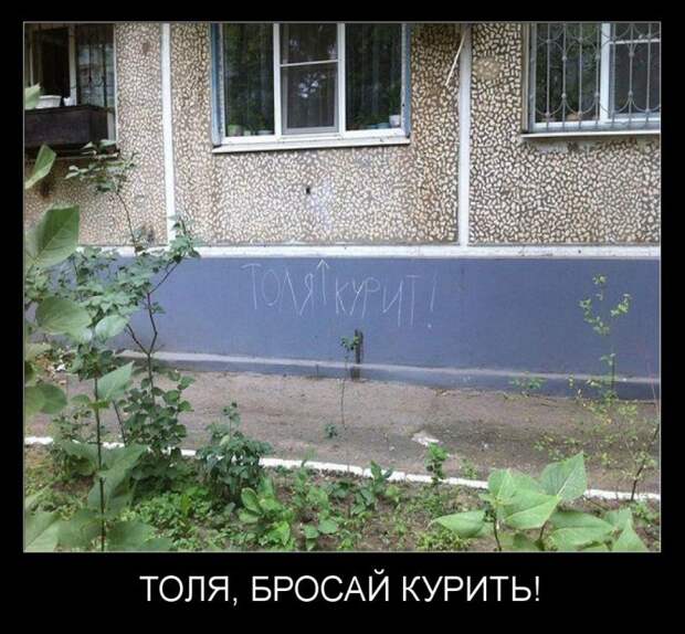 Демотиваторы демотиваторы