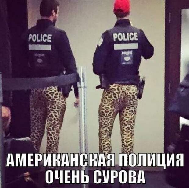 Чудики из США маразм, чудики