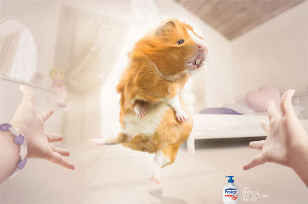 funny-ads-with-animals-14