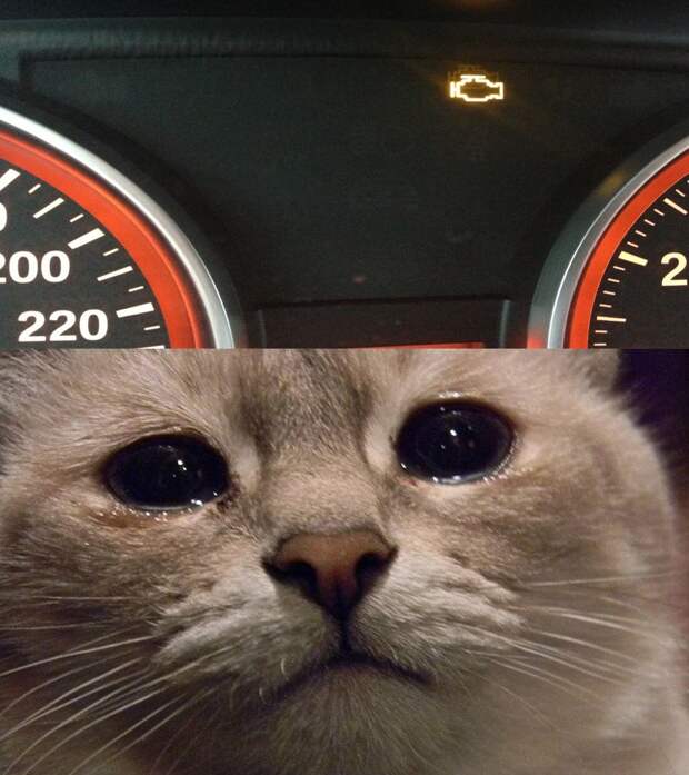 Подборка автоприколов. Часть 145 автоприколы, приколы