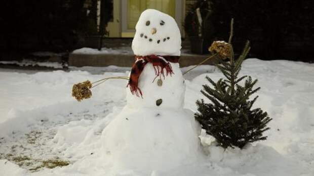В Польше полиция чуть не арестовала снеговика