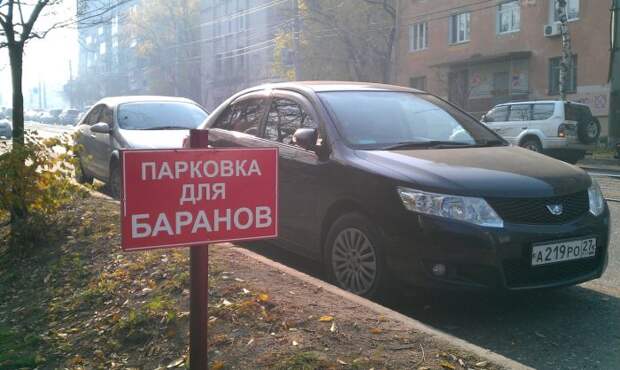 Прикольные картинки (84 фото)