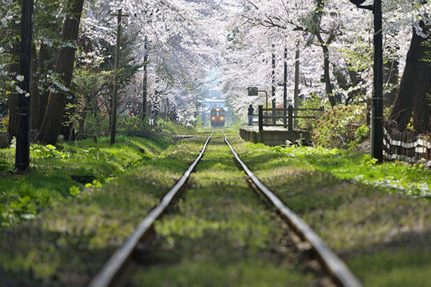 Конкурс фотографий National Geographic Traveler 2015. Часть 2