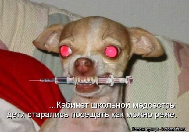 Сборник весёлых котоматриц (35 шт)