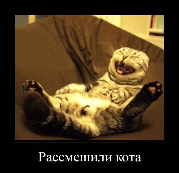 Новые весёлые демотиваторы Новые весёлые демотиваторы