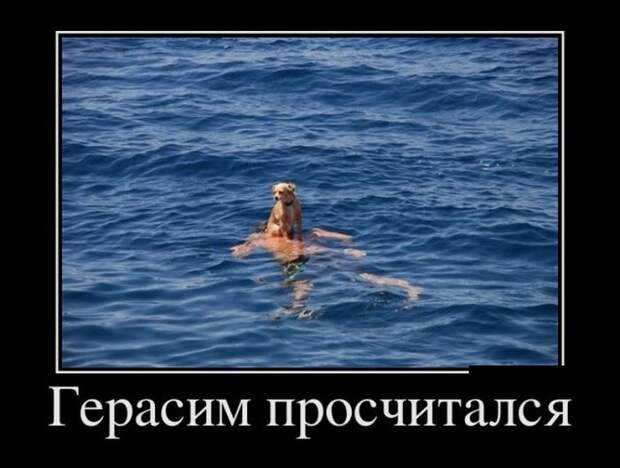 Демотиваторы (30 фото)