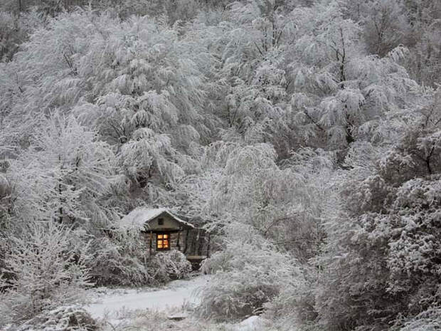 20 фотографий, наполненных ожиданием зимы