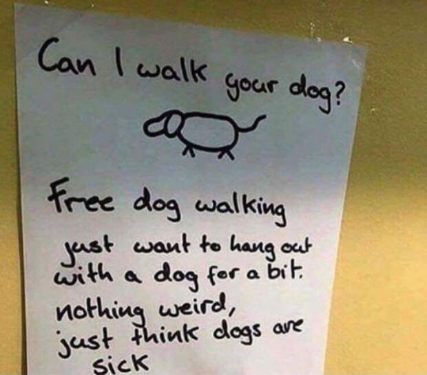 2673522 111 Dog memes youll want to show your dog even though he cant read (32 Photos)