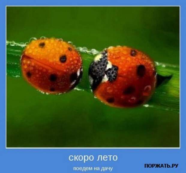 Мотиваторы (21 фото)