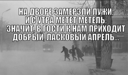 Фото-приколы для настроения (44 шт)