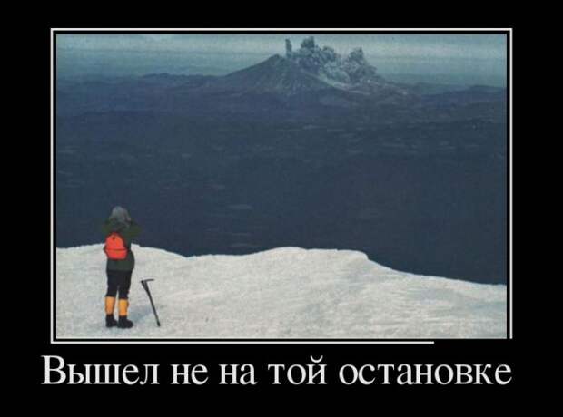 Демотиваторы №1105 (30 фото)