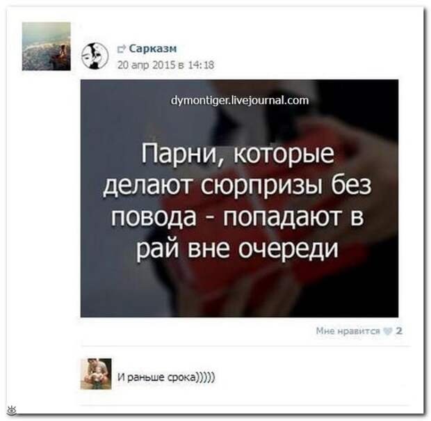 Словесные перлы из интернета 10
