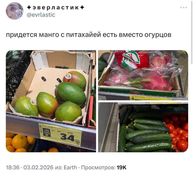 Огурцы теперь стоят как манго и питахайя — 340 рублей за килограмм