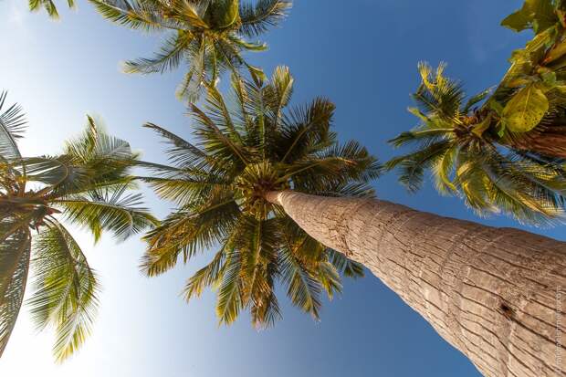 Нестандартный Таиланд: Ко Тао KoTao19 Нестандартный Таиланд: Ко Тао