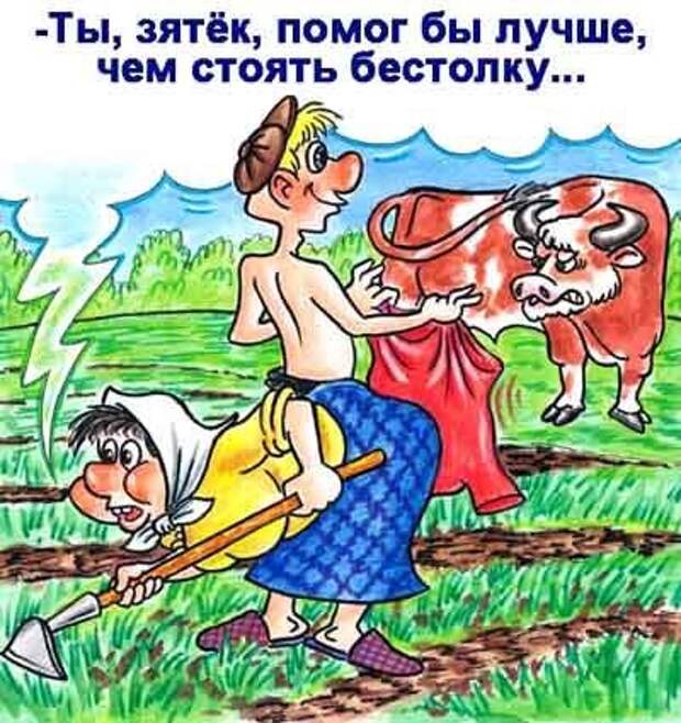 Карикатуры, настроение будет только лучше.