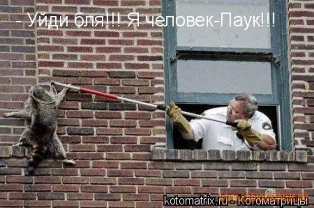 Животный позитивчик