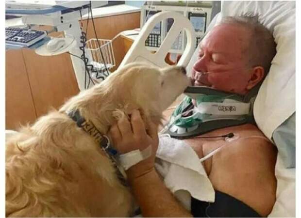 Собака привела помощь к своему хозяину, когда он упал в обморок