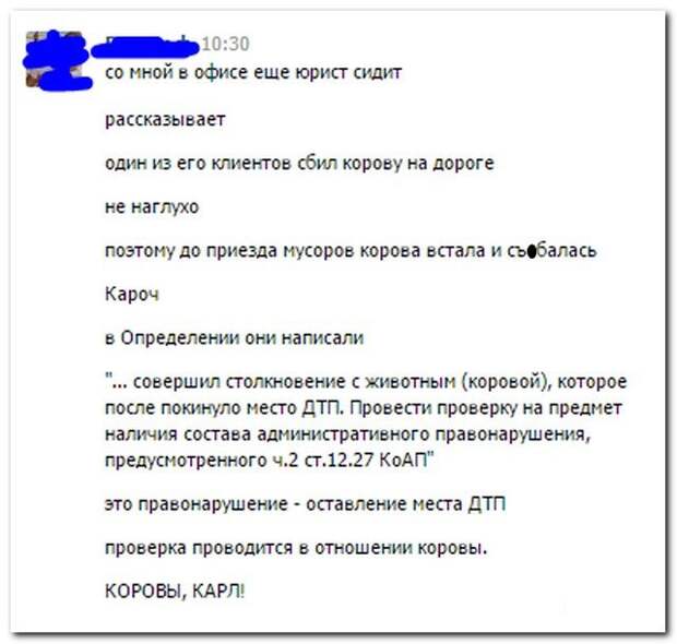 Классные комментарии из соцсетей