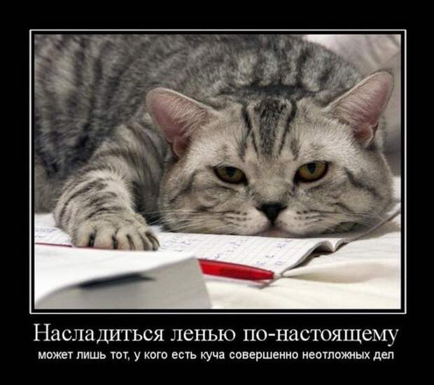 Демотиваторы (30 фото)
