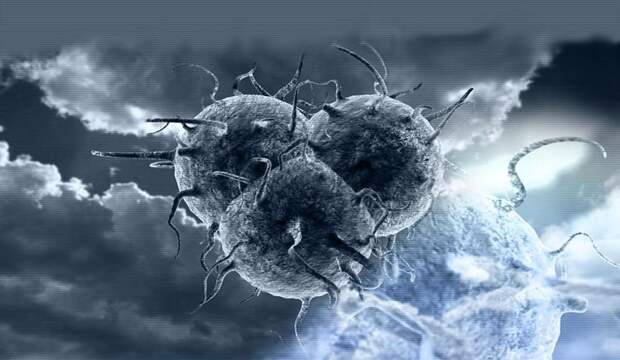 Самые опасные вирусы, которые создали ученые: птичий грипп, оспа лошадей и другие