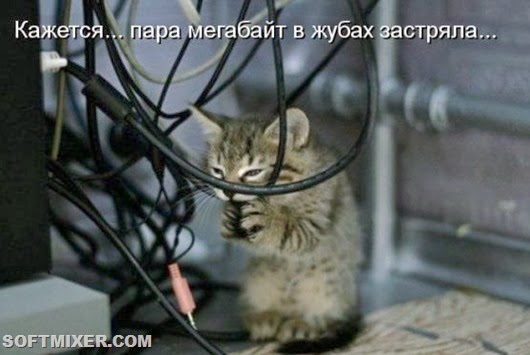 db0169f8b0f3a2a10d9e5c8522f_prev