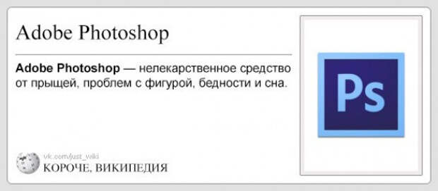 короче википедия (29)