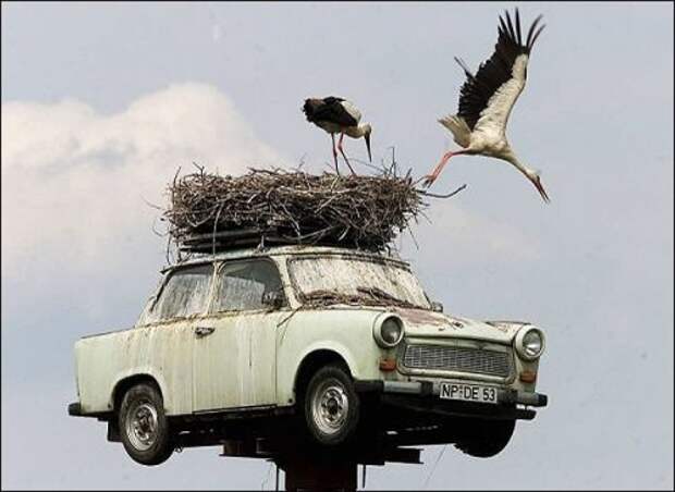 АВТОприколы на Бугаге (20 фото)