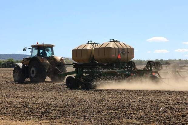 Индекс производства продукции растениеводства в Крыму превысил 80%