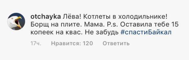 Россияне просят Ди Каприо спасти Байкал