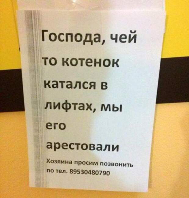 20 самых убедительных объявлений