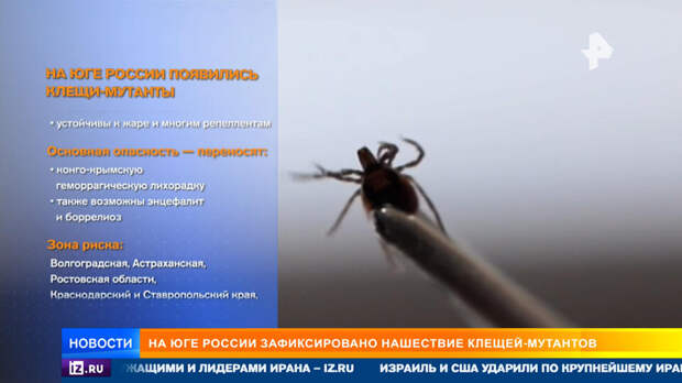 Глазастые клещи-мутанты атаковали юг России