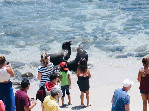 La-Jolla-Cove-San-Diego-5.jpg