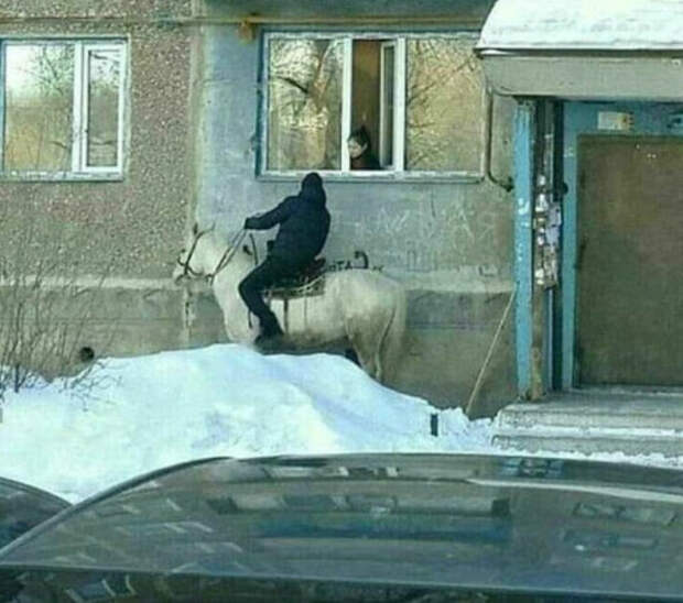 Принц на белом коне, собственной персоной! | Фото: Энциклопедия Знаний. Принц на белом коне, собственной персоной! | Фото: Энциклопедия Знаний.