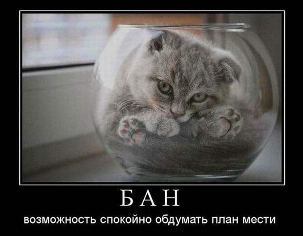 Демотиваторы демотиваторы, прикол, смех, юмор