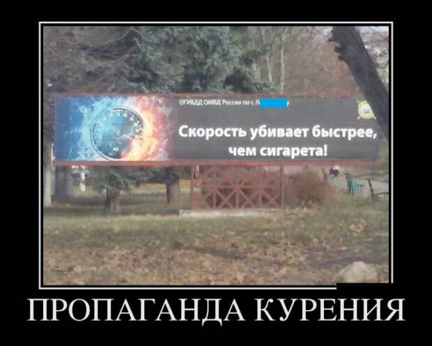 Демотиваторы (30 фото)