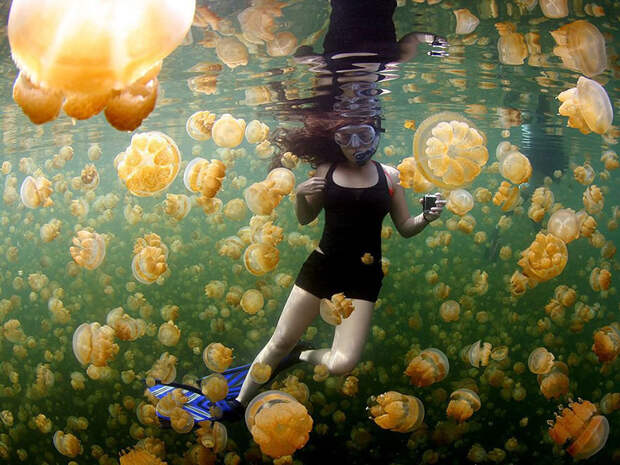 national-geographic-photo-of-the-day-internet-favorites-2015-37__880