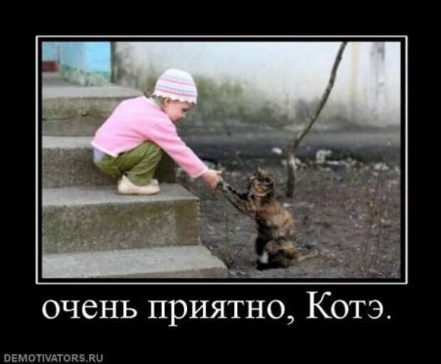 Ржачные демотиваторы, прикольные картинки.