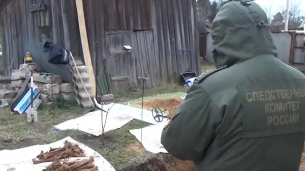 СК начал проверку по факту обнаружения в Ленобласти массового захоронения времён Великой Отечественной войны