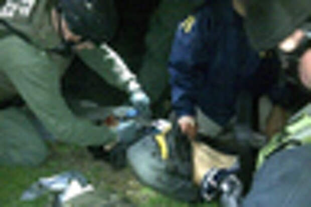 Полиция обыскивает задержанного Джохара Царнаева