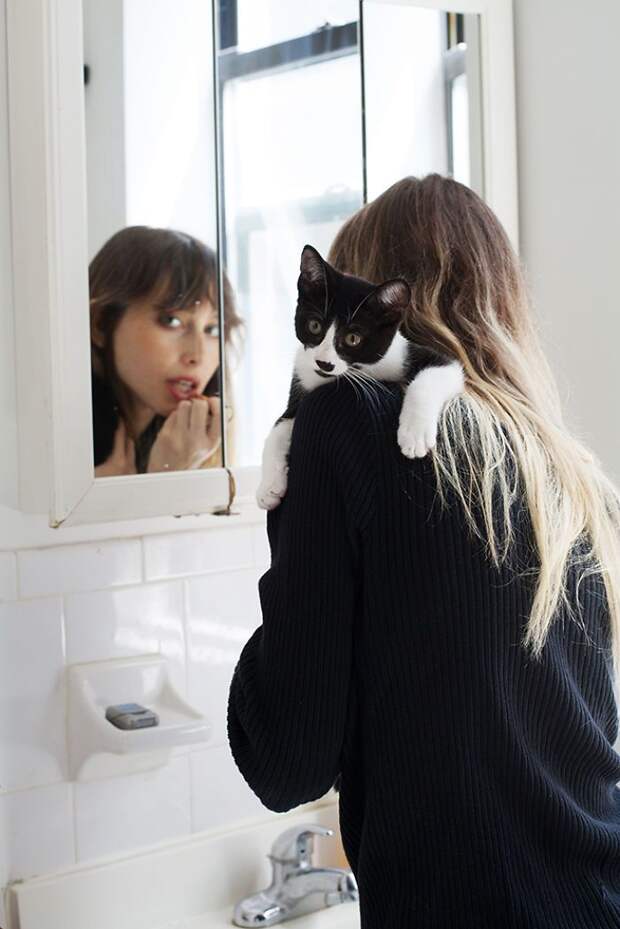 Брайан Виллс, Brianne Wills, девушки со своими котами, девушки с кошками которых они приютили
