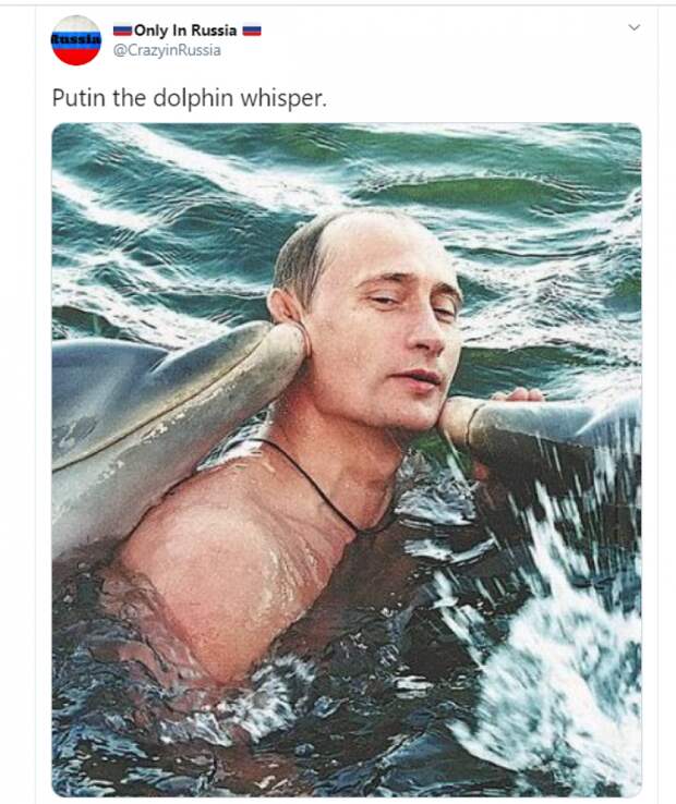 Фото Путина с «дельфинами-шпионами» пользуется популярностью в Сети